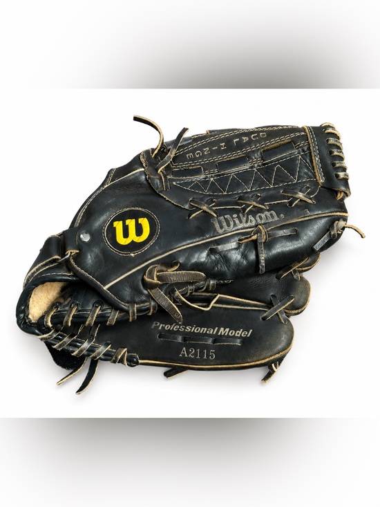 Wilson | Accessories | Wilson A215 Professional Model Black Leather ...